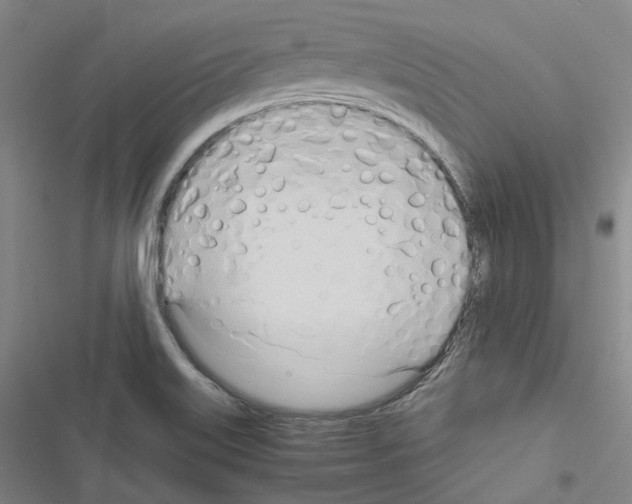 X0000116681515201001251249