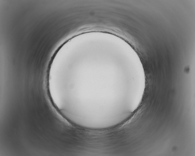 X0000116681518201001251249