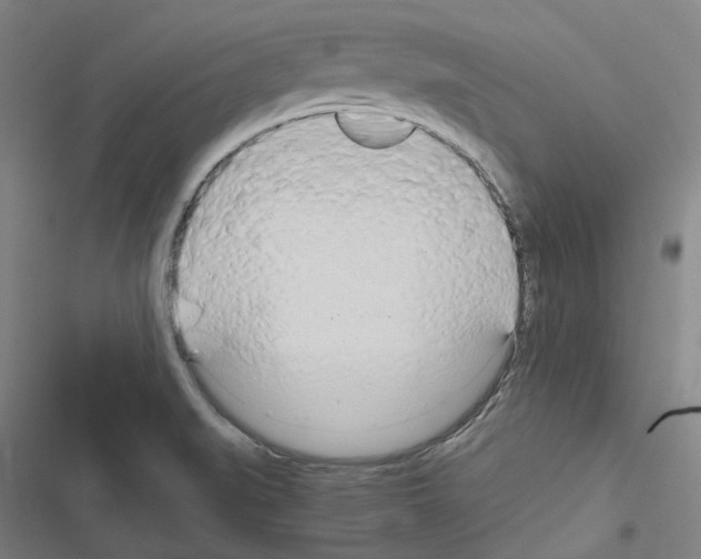 X0000116681519201001251249