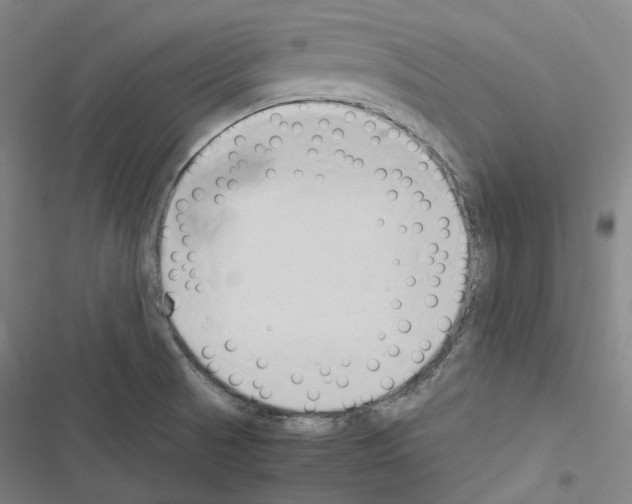 X0000116681521201001251249