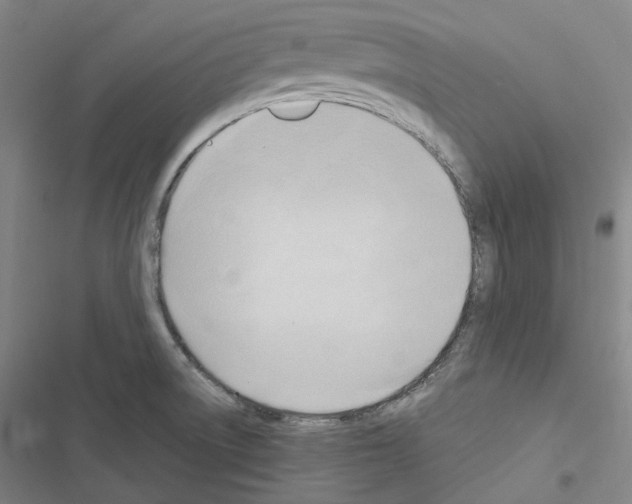 X0000116681522201001251249