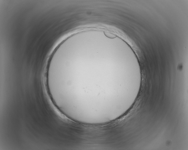 X0000116681523201001251249