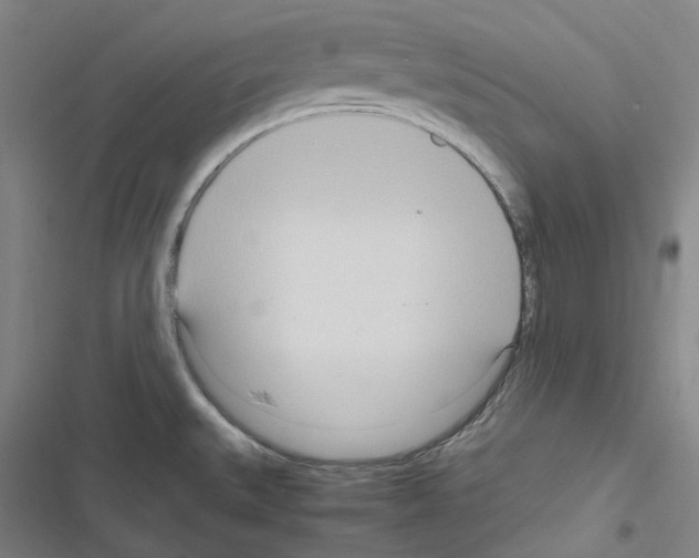 X0000116681527201001251249