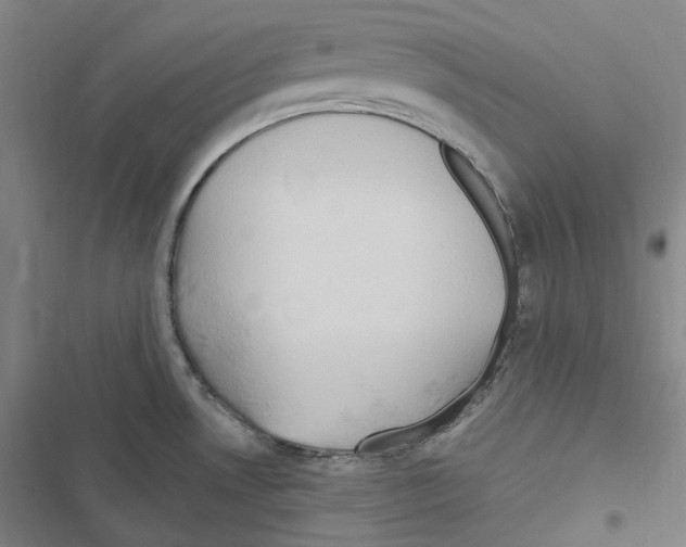 X0000116681530201001251249