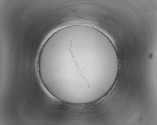 X0000116681531201001251249