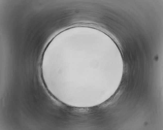 X0000116681533201001251249