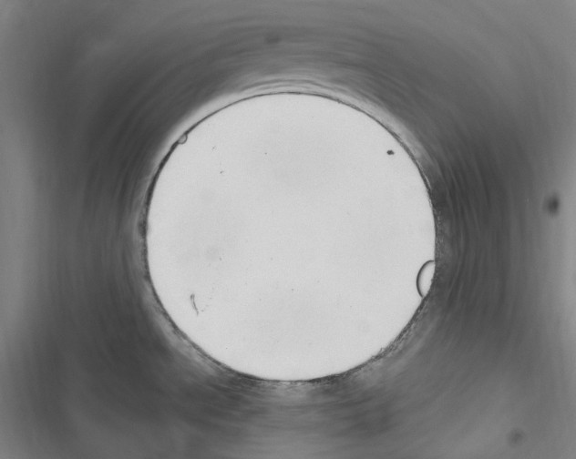 X0000116681534201001251249