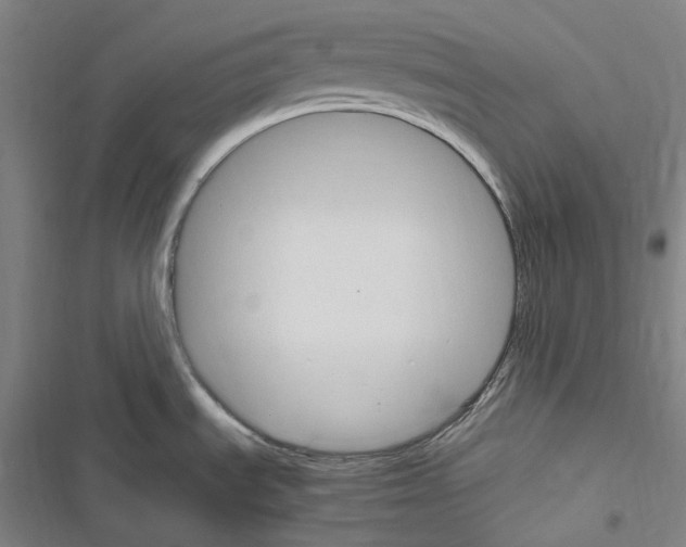 X0000116681535201001251249