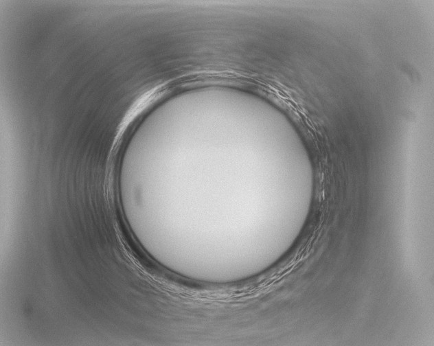 X0000116760004200912171120