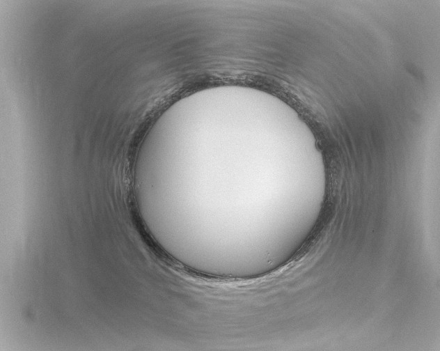 X0000116760040200912171119
