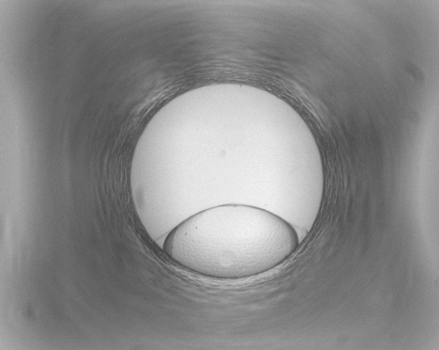 X0000116760043200912171119