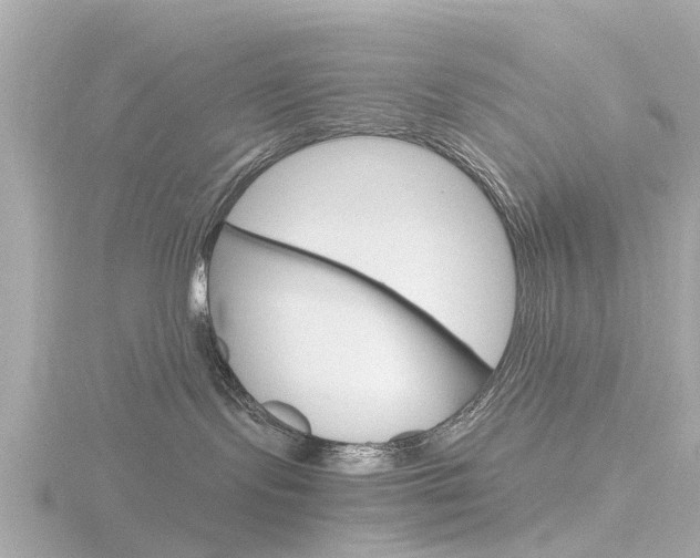 X0000116760095200912171119