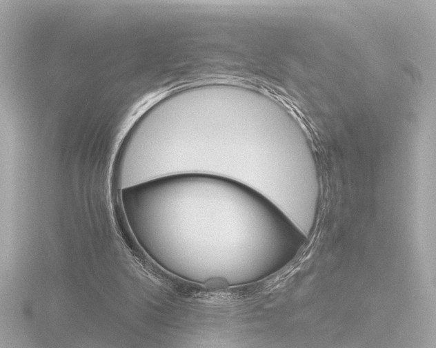 X0000116760104200912171118