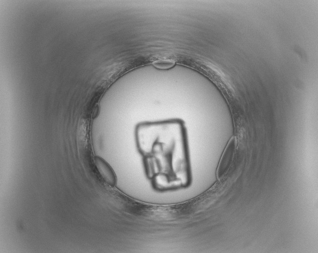 X0000116760121200912171118