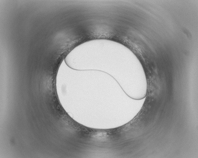 X0000116760162200912171117