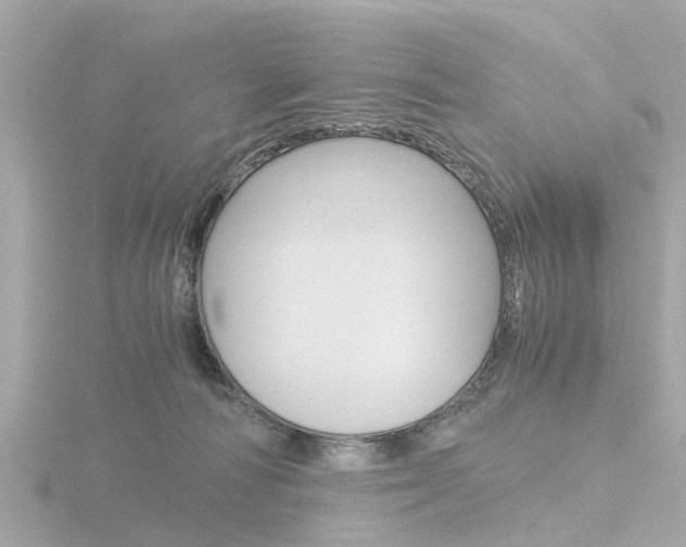 X0000116760226200912171117