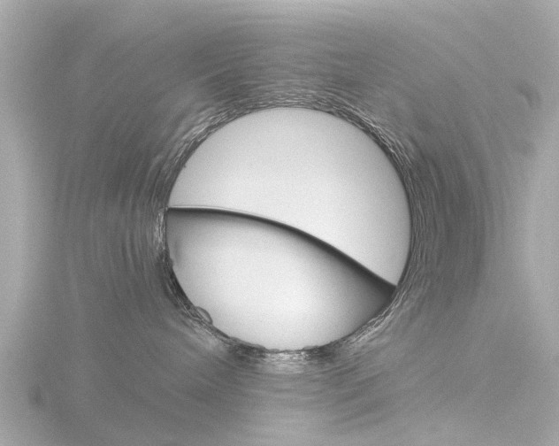 X0000116760240200912171117