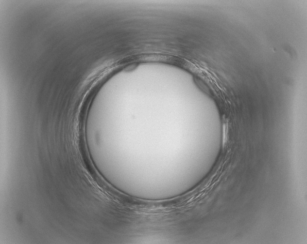 X0000116760243200912171116