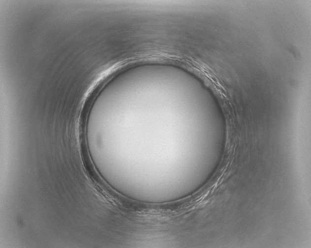 X0000116760244200912171116