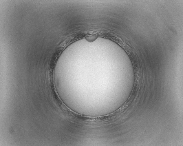 X0000116760272200912171116