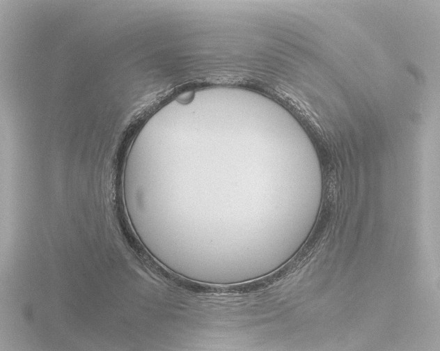 X0000116760303200912171116