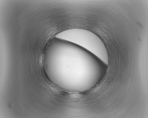X0000116760336200912171115