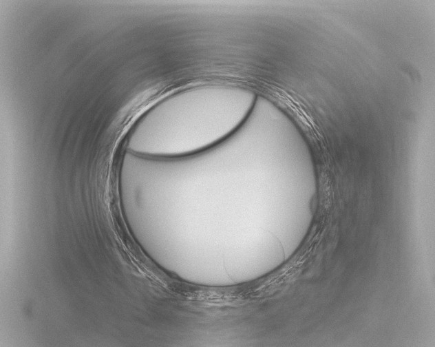 X0000116760338200912171115