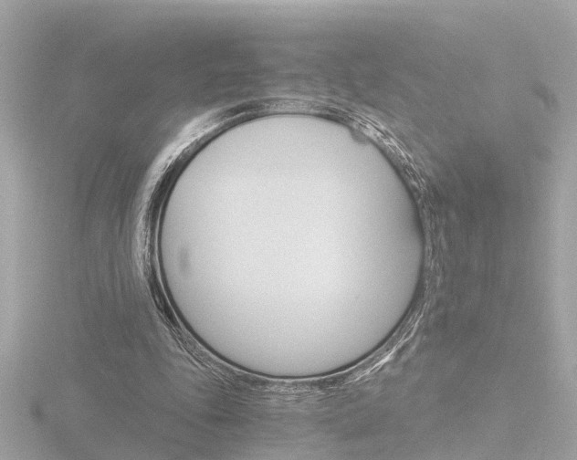 X0000116760343200912171115