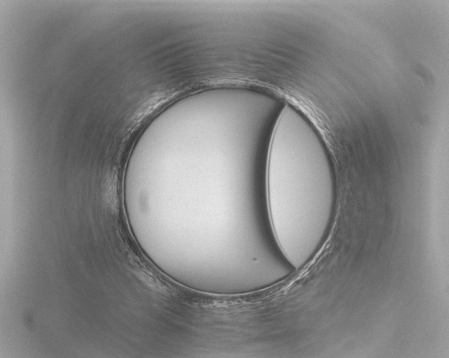 X0000116760345200912171115