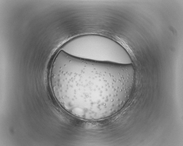 X0000116760346200912171115