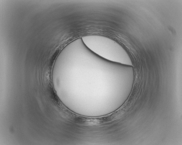 X0000116760363200912171115