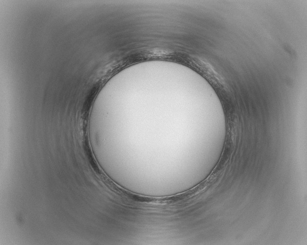 X0000116760366200912171115