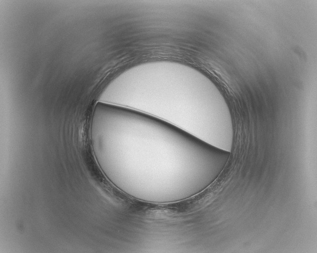 X0000116760408200912171114