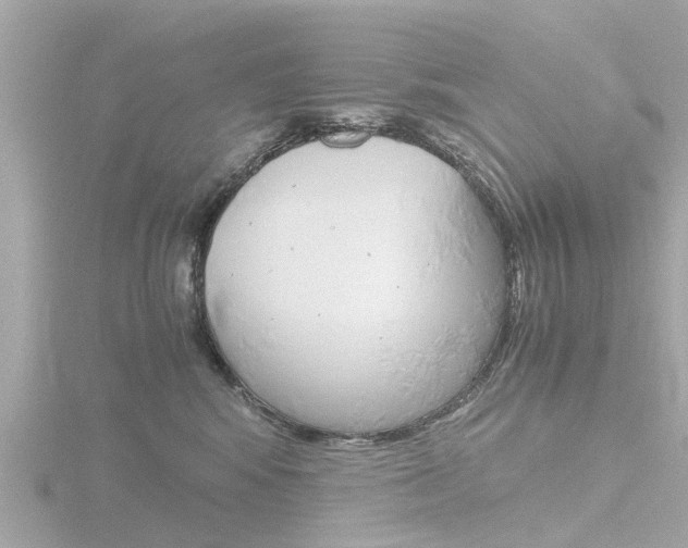 X0000116760424200912171114