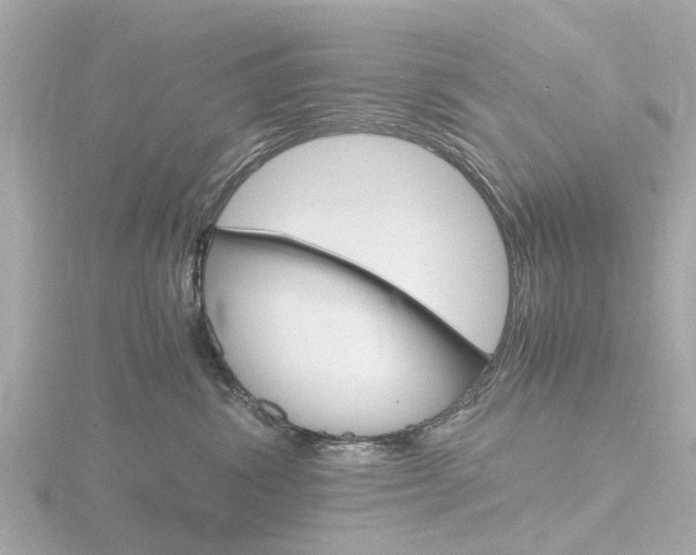 X0000116760428200912171114