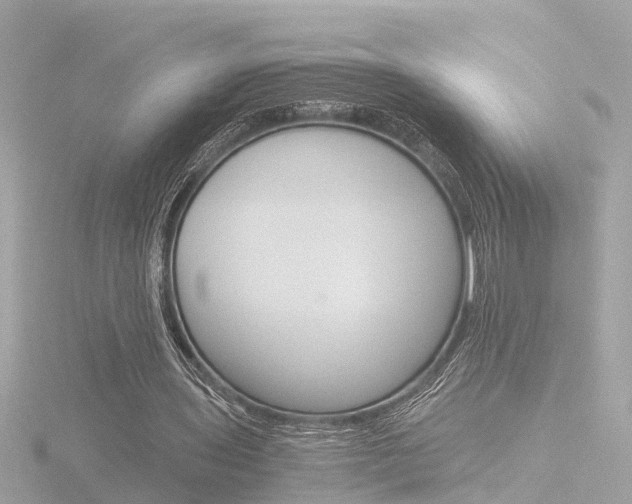 X0000116760435200912171113