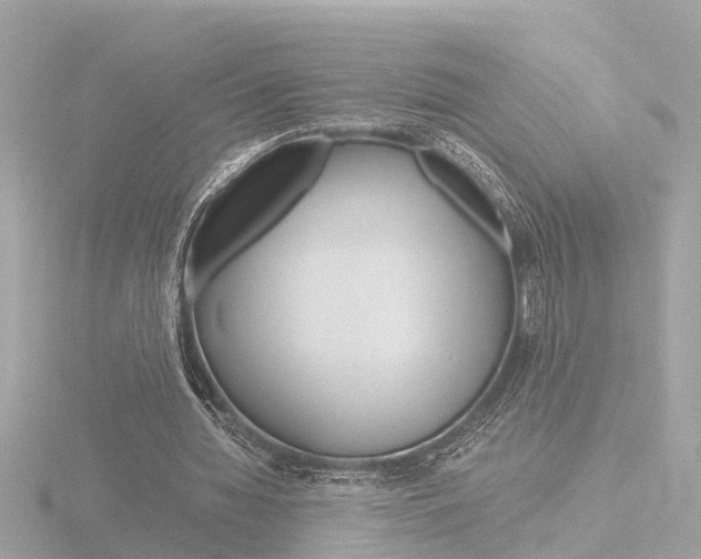 X0000116760436200912171113