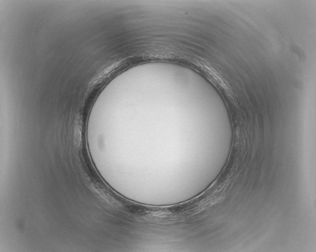 X0000116760446200912171113