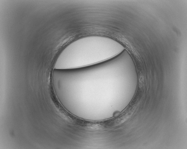X0000116760454200912171113
