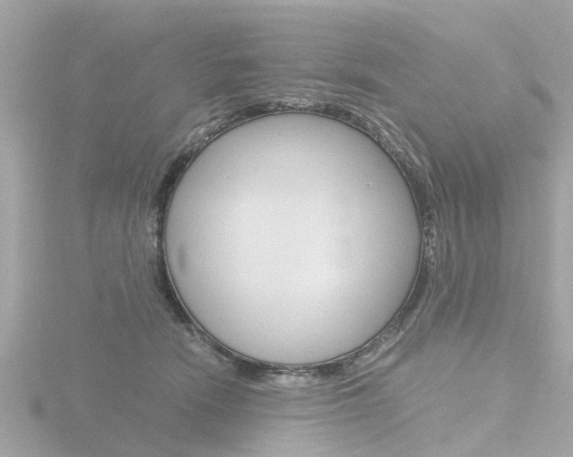 X0000116760466200912171114