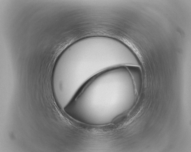 X0000116760481200912171113