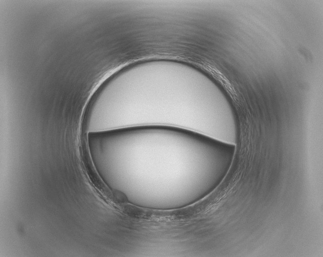 X0000116760484200912171113