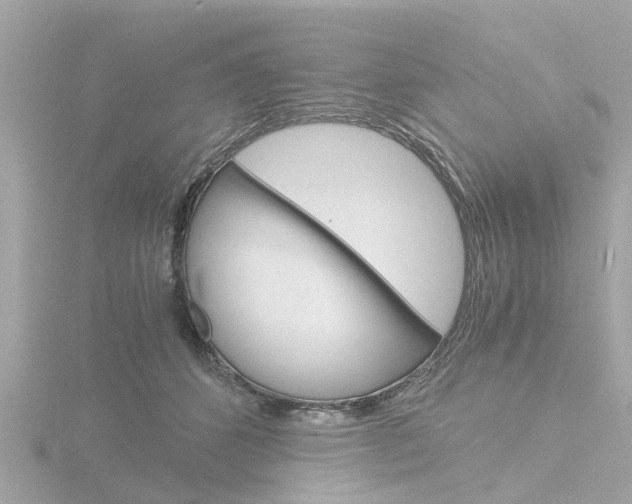 X0000116760512200912171113