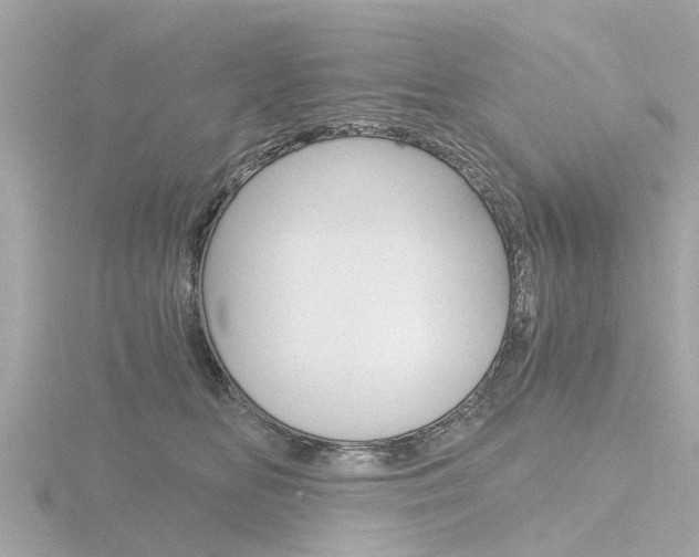 X0000116760518200912171113