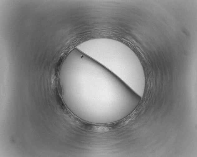 X0000116760520200912171113