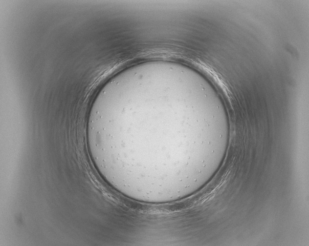 X0000116760529200912171112