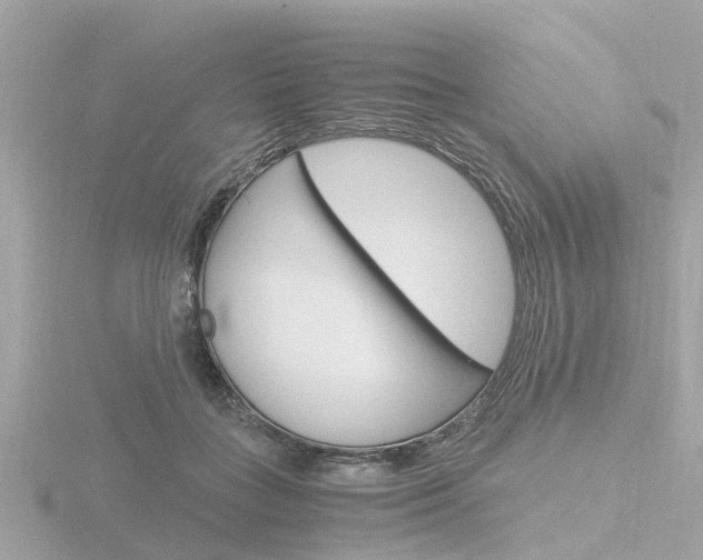 X0000116760555200912171112