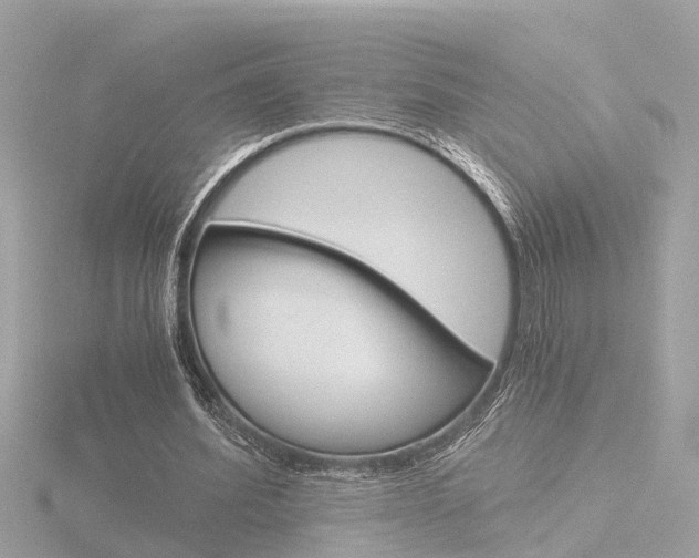 X0000116760580200912171112
