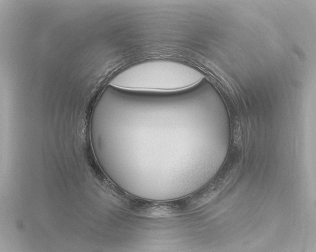 X0000116760604200912171111