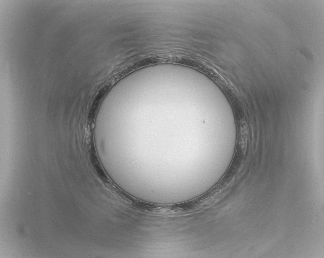 X0000116760613200912171111